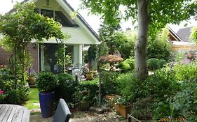Wiersse 68